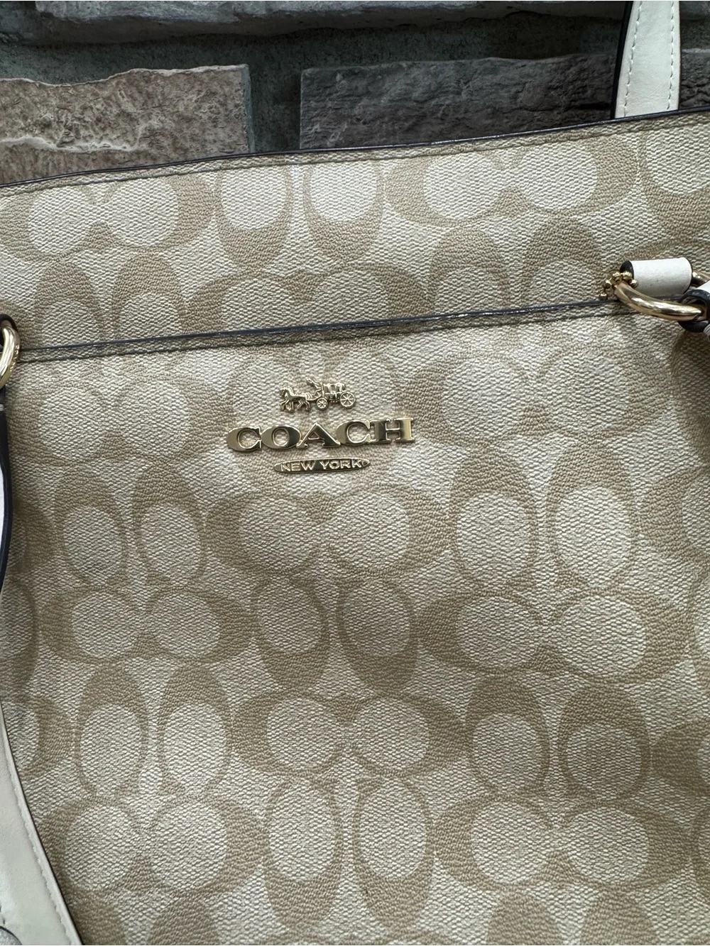 Coach signature canvas